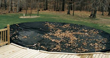 Pool Leaf Nets