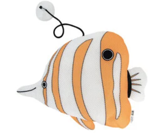 Bonnie Sponge